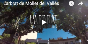 L'arbrat de Mollet del Vallès