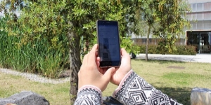 Científics de la UAB i ciutadans identificaran les plantes al·lergògenes de Barcelona amb la nova app Plant*tes