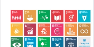 ‘Transformar el nostre món: L’Agenda 2030 per al desenvolupament sostenible’