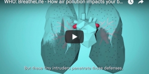 Com afecta la contaminació atmosfèrica el teu cos?