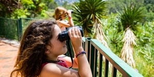 Més de 1.000 observacions de fauna i flora al Bioblitz metropolità