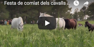 Els cavalls de la Fundació Miranda s’acomiaden del Parc del Garraf