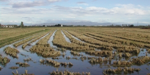 L'Ebre necessita aportar entre 1,2 i 3,5 milions de tones més de sediments per frenar la subsidència al Delta
