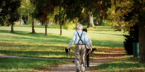 Les persones grans mantenen millor les funcions cognitives si viuen en veïnats més verds